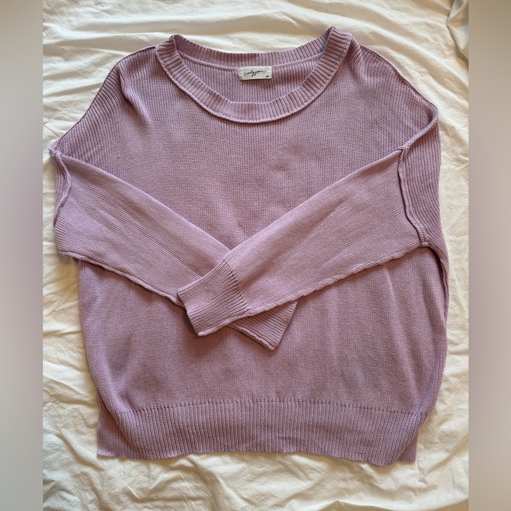 Carly Jean Los Angeles Cynthia sweater